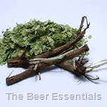 Horizon Hops Rhizome
