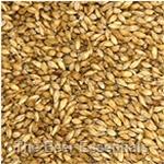 Belgian Pale - 3L - 1 lb.