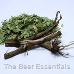 Crystal Hops Rhizome