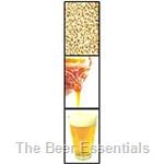 Bulk Malt Extract - Pilsner - 6 lbs.