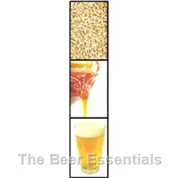 Bulk Malt Extract - Pilsner - 6 lbs.